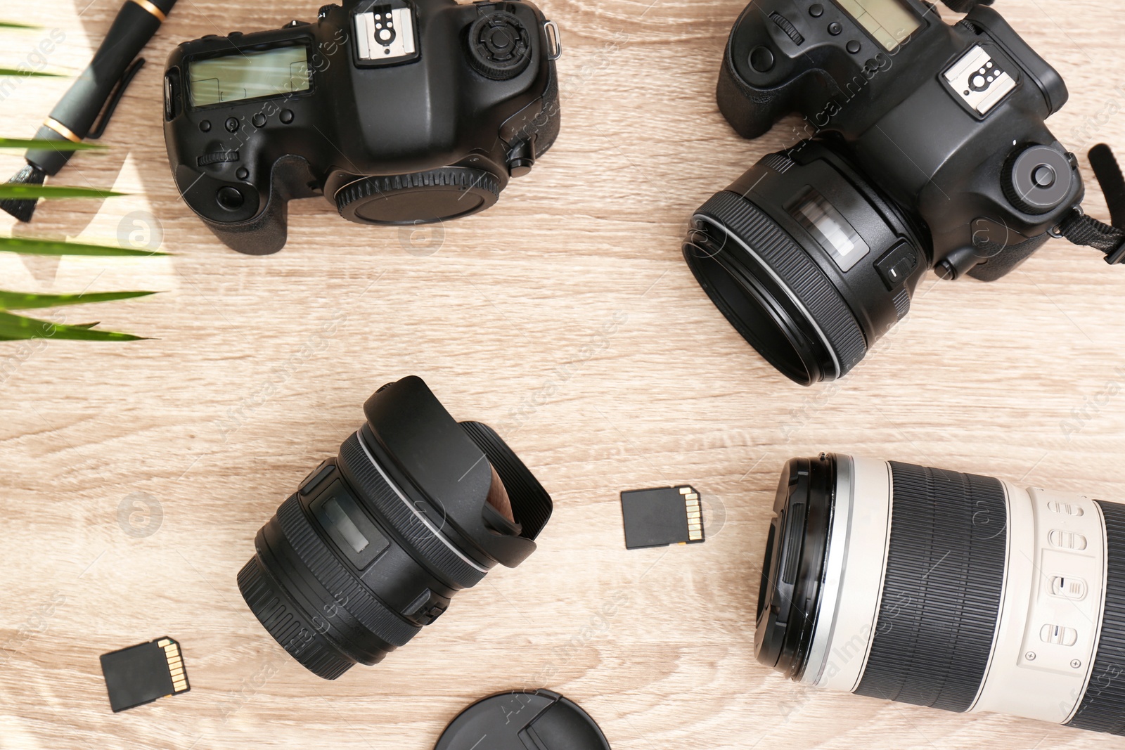 Photo of Professional photographer's equipment on wooden table, top view