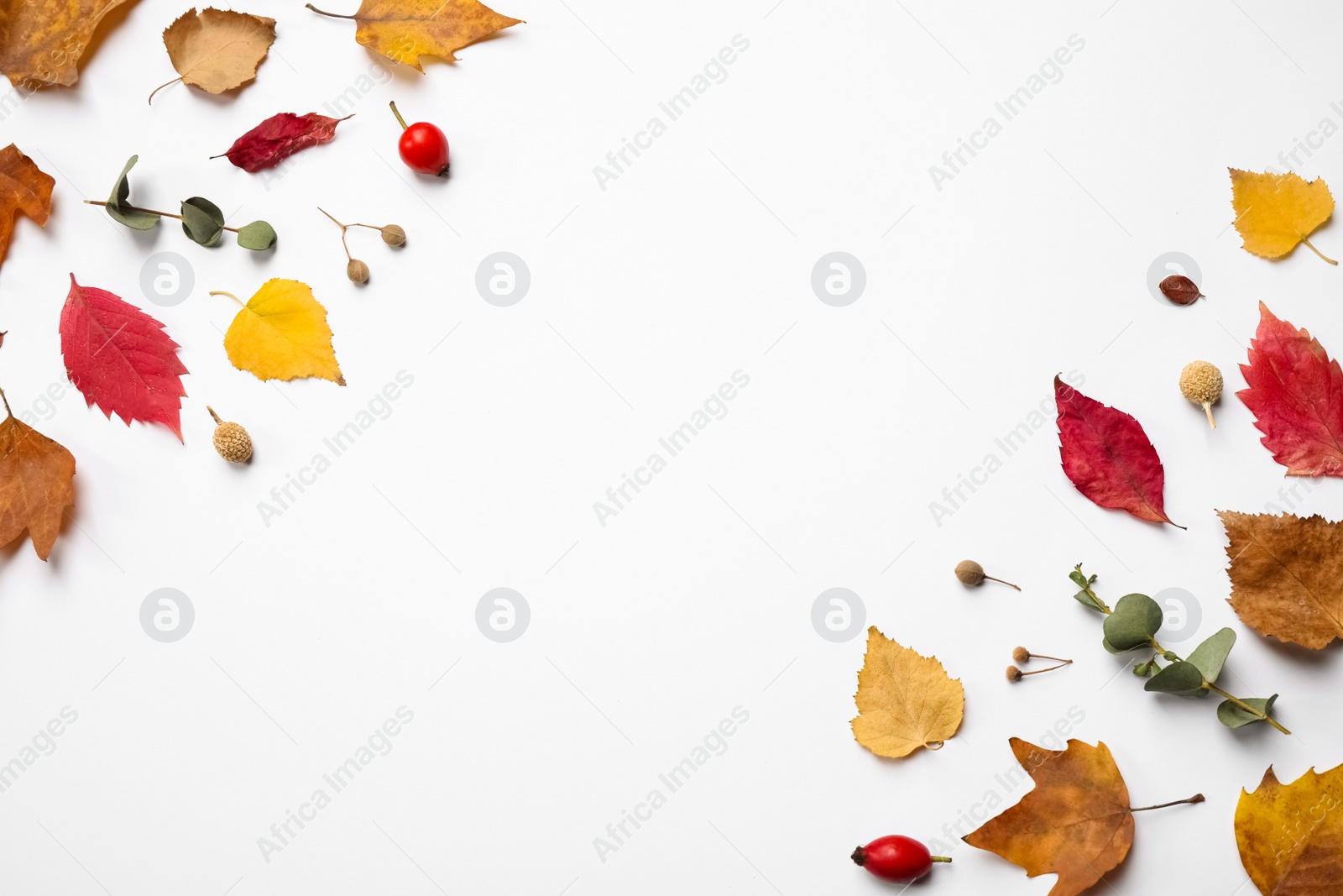 Photo of Flat lay composition with autumn leaves and space for text on white background