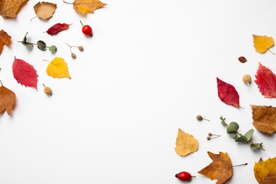 Flat lay composition with autumn leaves and space for text on white background