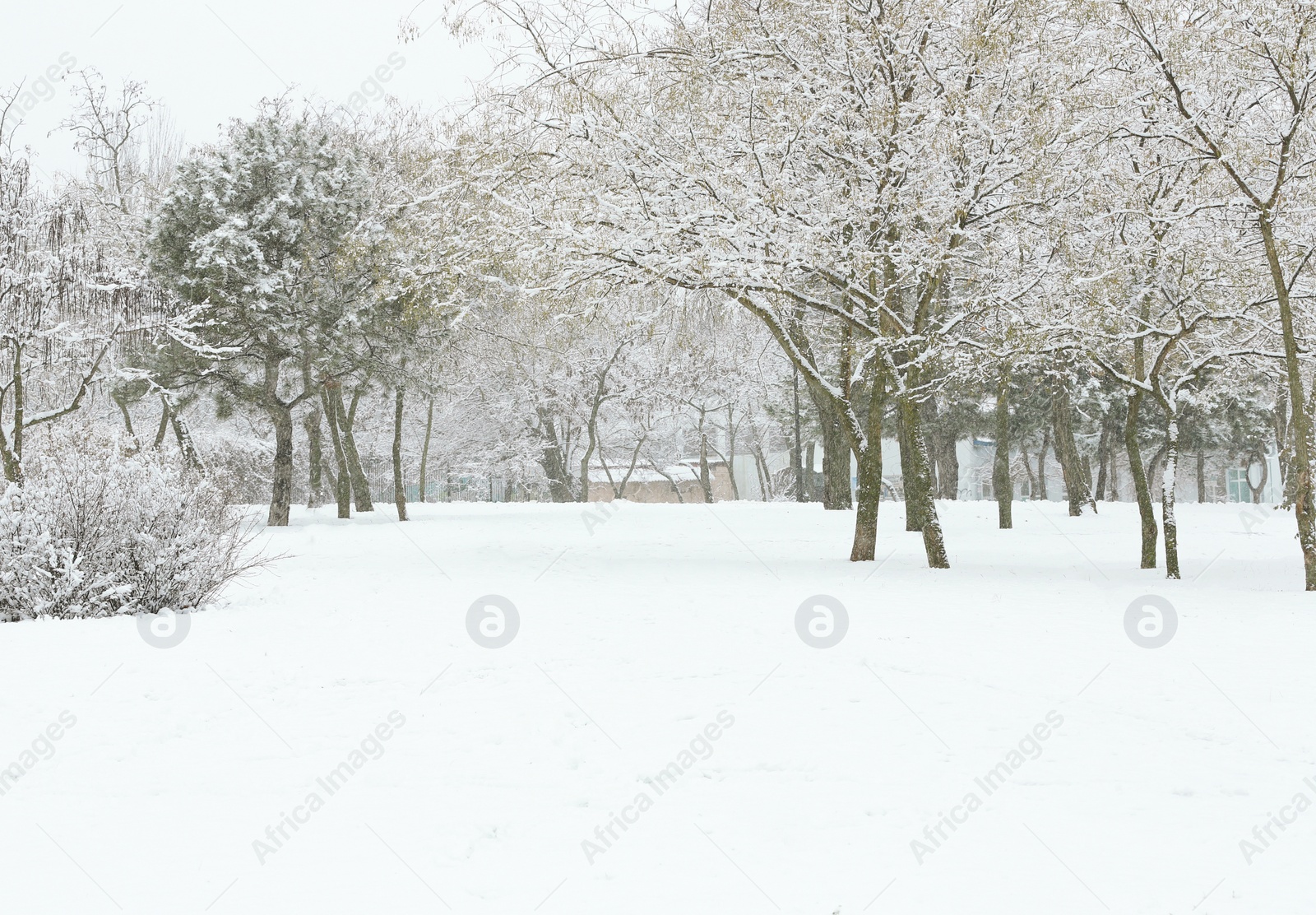 Photo of Beautiful view of city park covered with snow in winter