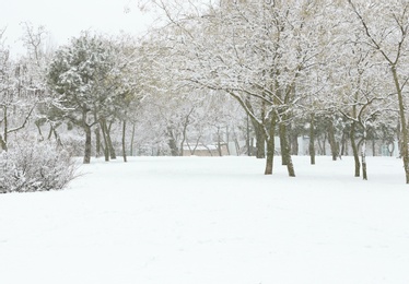 Beautiful view of city park covered with snow in winter