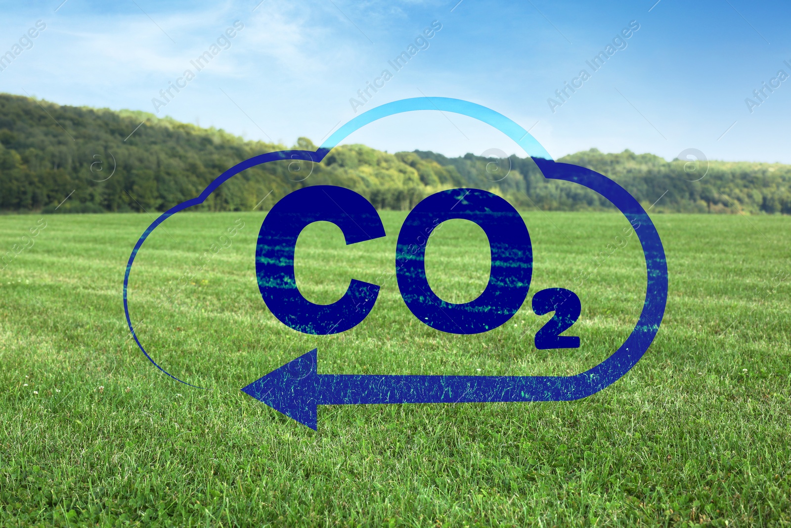 Image of Concept of clear air. CO2 inscription in illustration of cloud with arrow and beautiful meadow