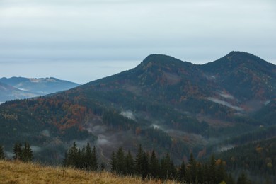 Photo of Picturesque view of beautiful mountain landscape with forest and fog patches on autumn day