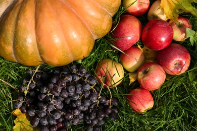 Photo of Ripe pumpkin, grapes and apples on green grass, above view. Autumn harvest