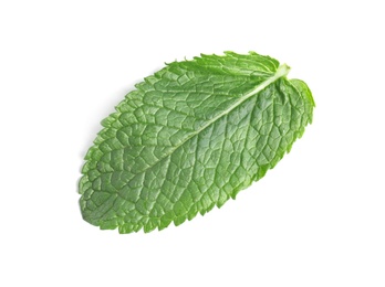 Fresh green mint leaf on white background