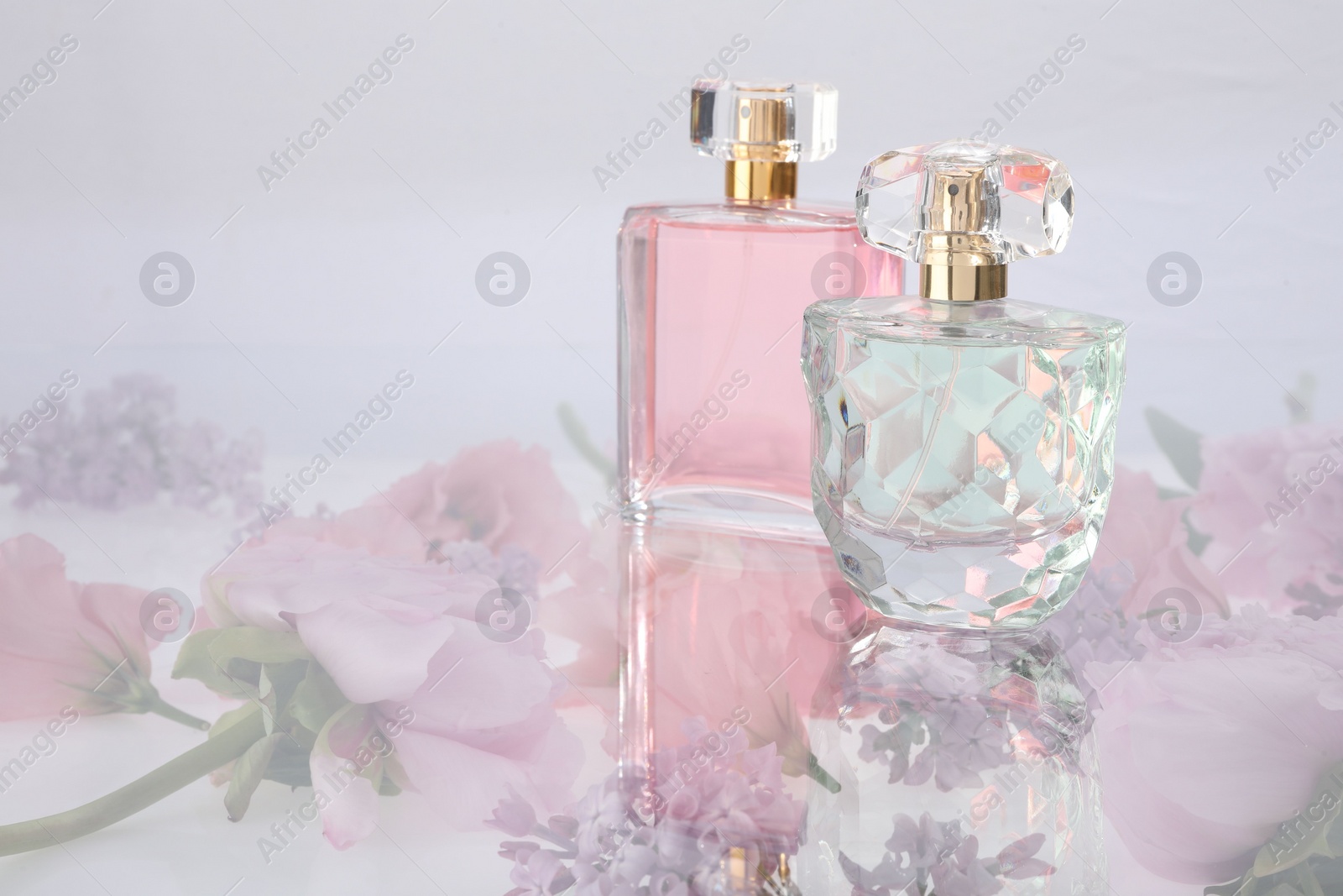 Photo of Luxury perfumes on spring floral decor, space for text