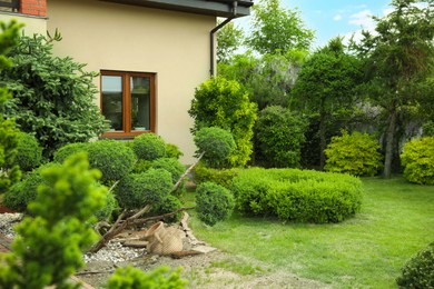 Photo of Picturesque view of beautiful house and garden on sunny day