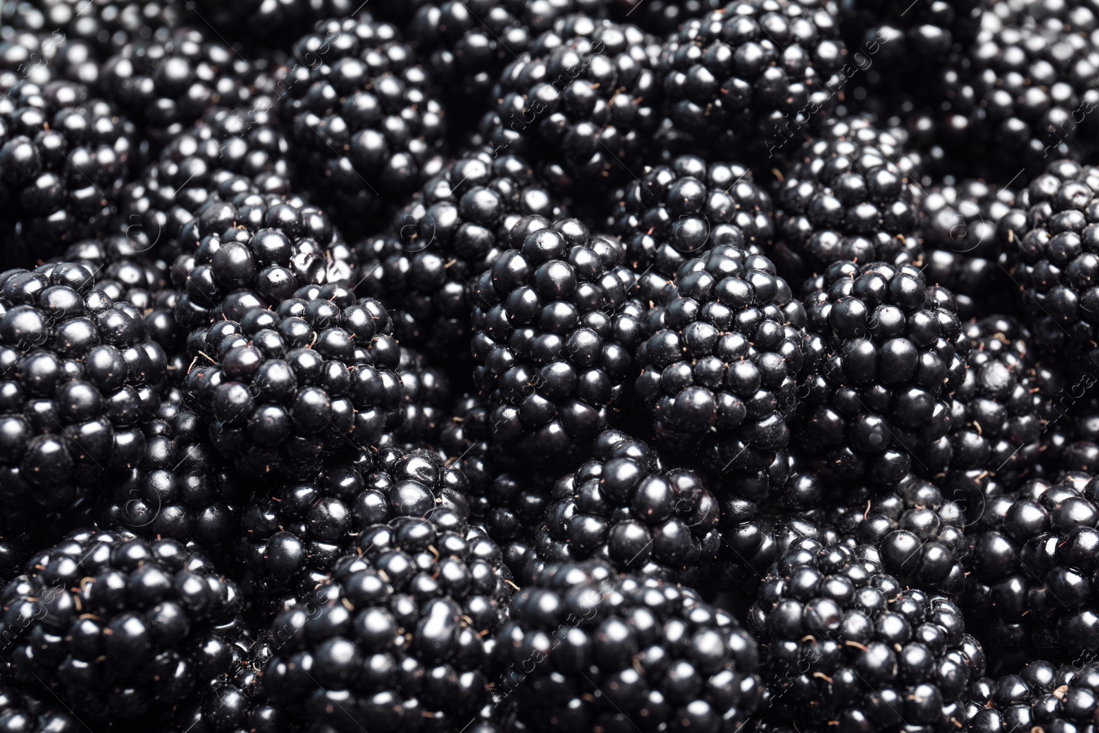 Photo of Tasty ripe fresh blackberries as background, closeup