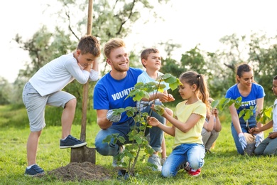 Photo of Kids planting trees with volunteers in park