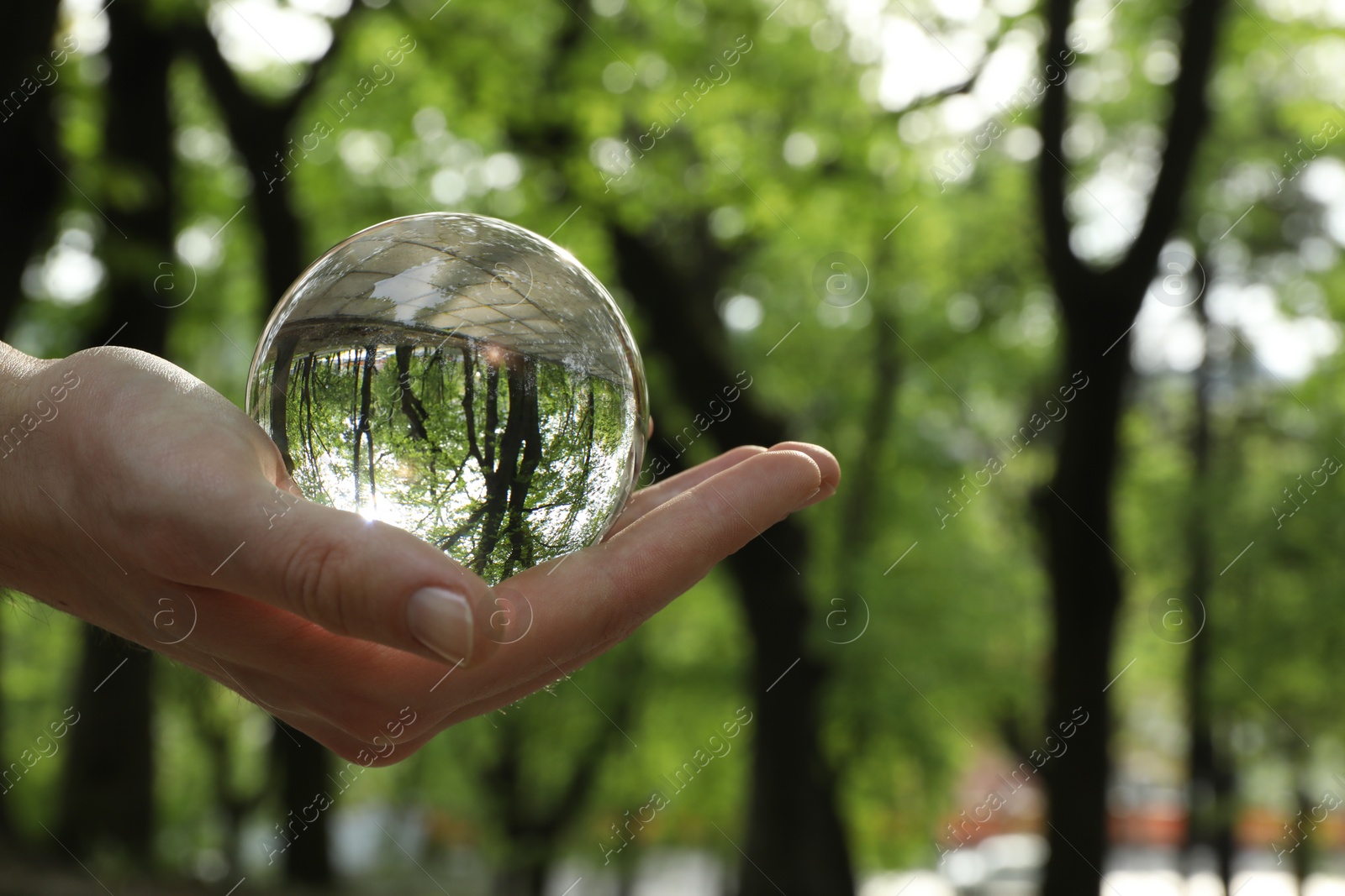 Photo of Beautiful green trees outdoors, overturned reflection. Man holding crystal ball in park, closeup. Space for text