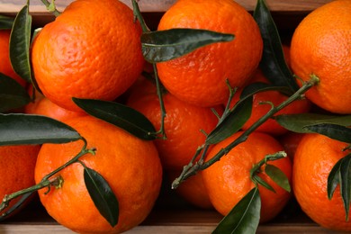 Photo of Fresh ripe tangerines with green leaves in crate, top view
