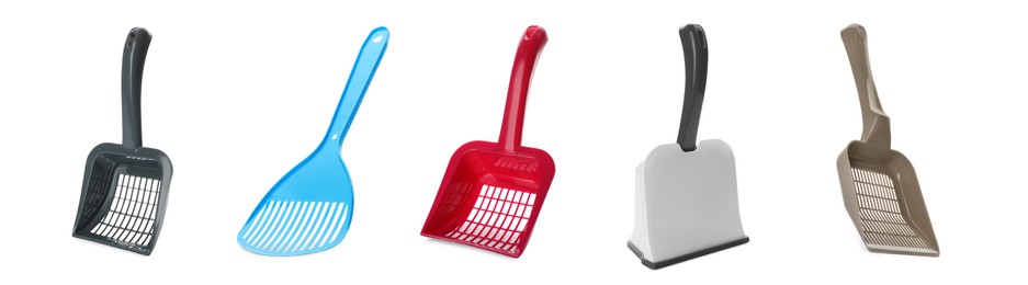 Image of Set with different cat litter scoops on white background
