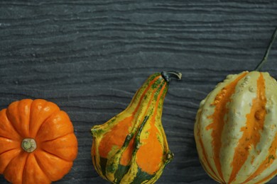 Photo of Many different pumpkins on wooden table, flat lay. Space for text