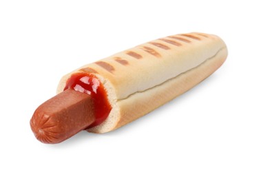 Tasty french hot dog with ketchup isolated on white