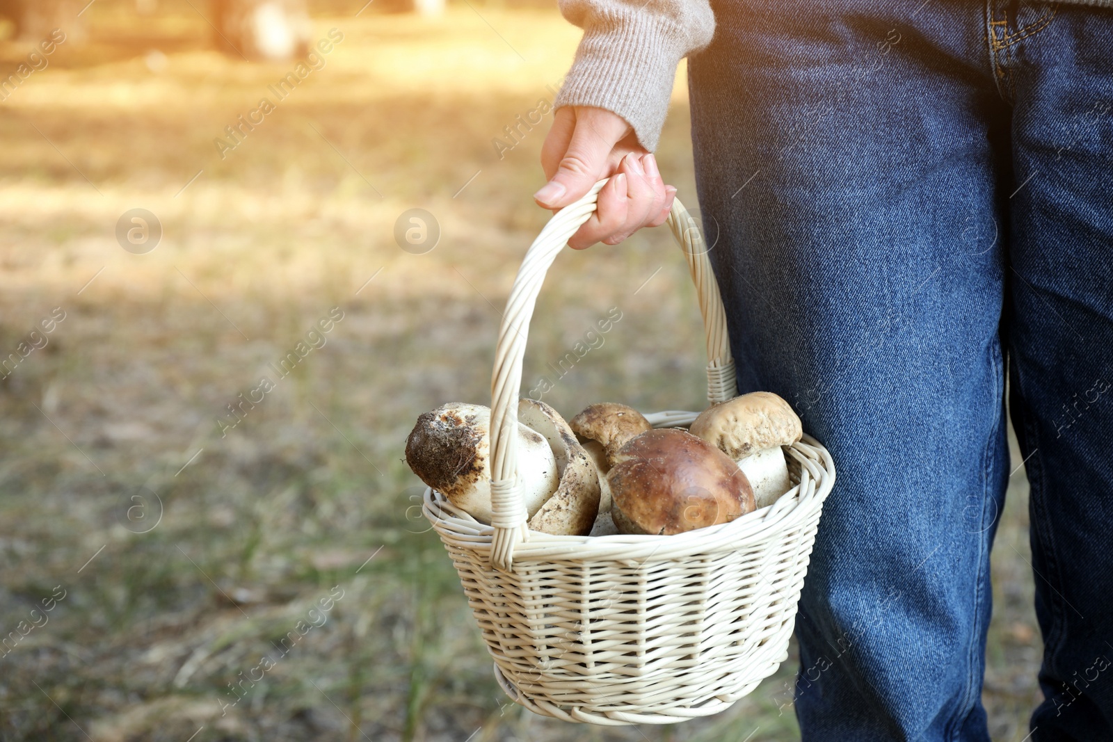 Photo of Woman holding wicker basket with fresh wild mushrooms in forest, closeup