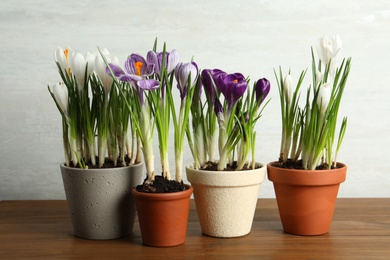 Different flowers in ceramic pots on wooden table