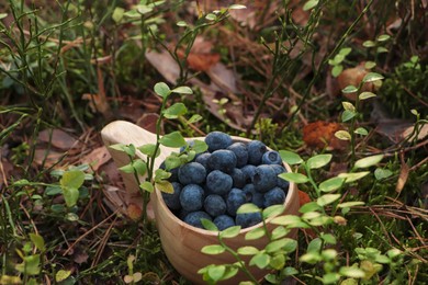 Wooden mug full of fresh ripe blueberries in grass