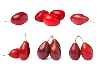 Image of Set of ripe red dogwood berries on white background