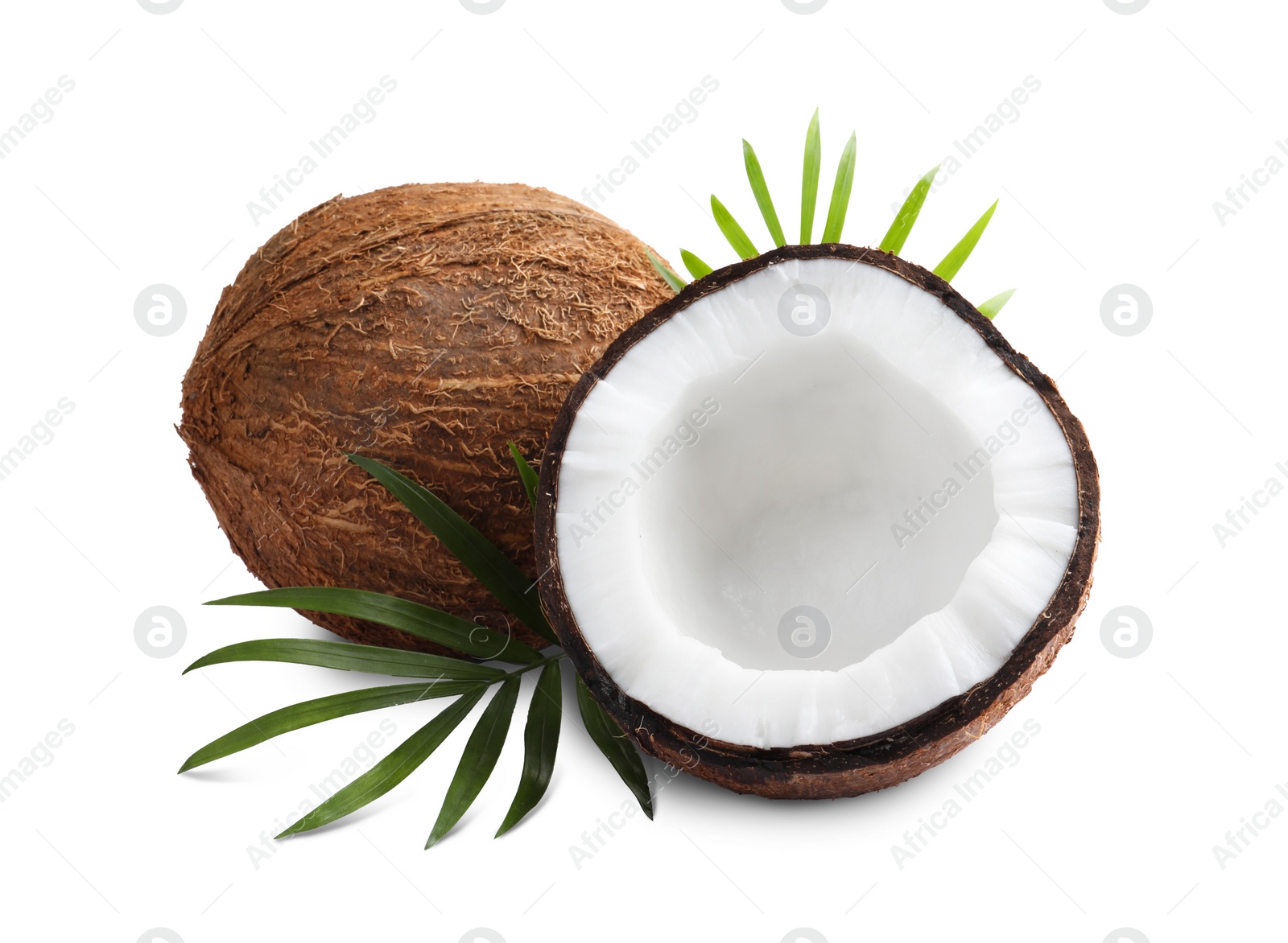 Photo of Fresh ripe coconuts with green leaves on white background