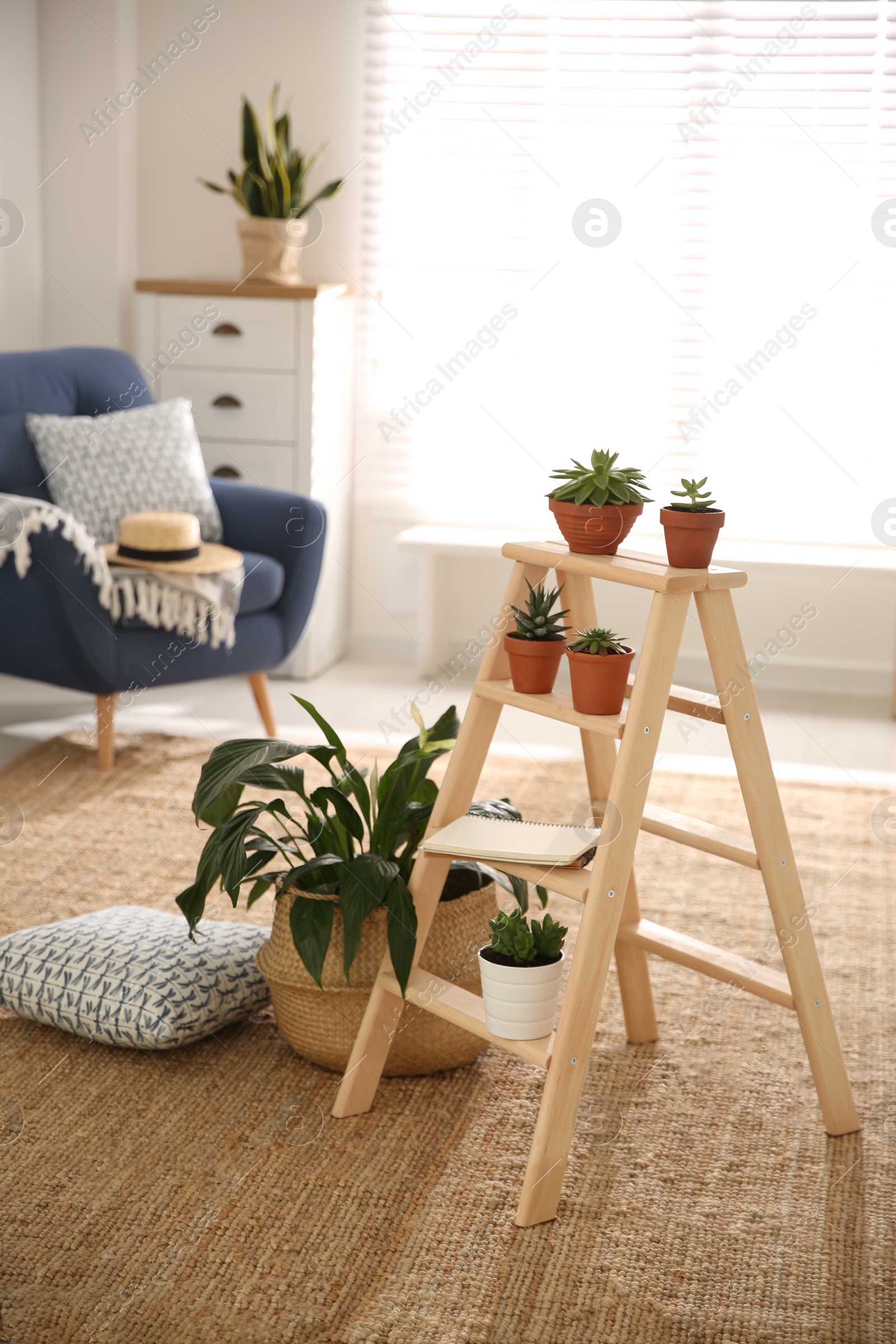 Photo of Stylish living room interior with wooden ladder and houseplants