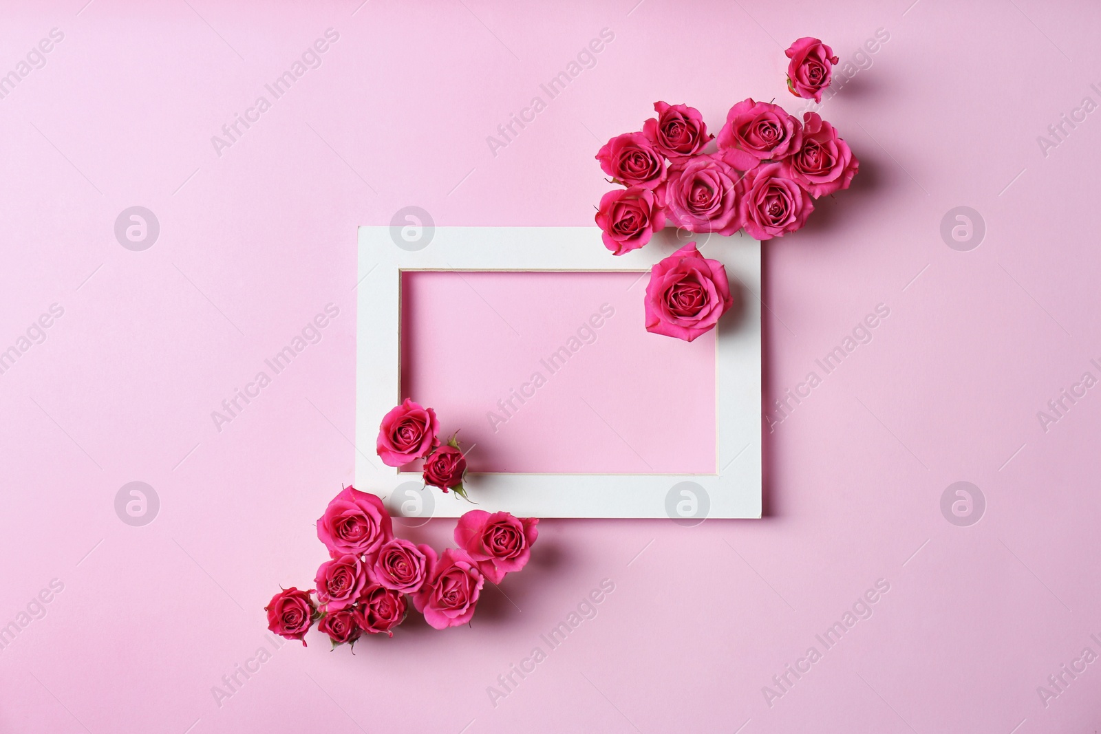 Photo of Empty frame with roses on color background, top view. Space for text