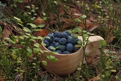 Wooden mug full of fresh ripe blueberries in grass