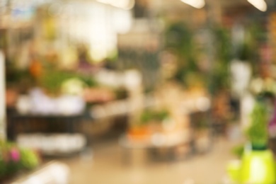 Blurred view of flower shop with tropical plants