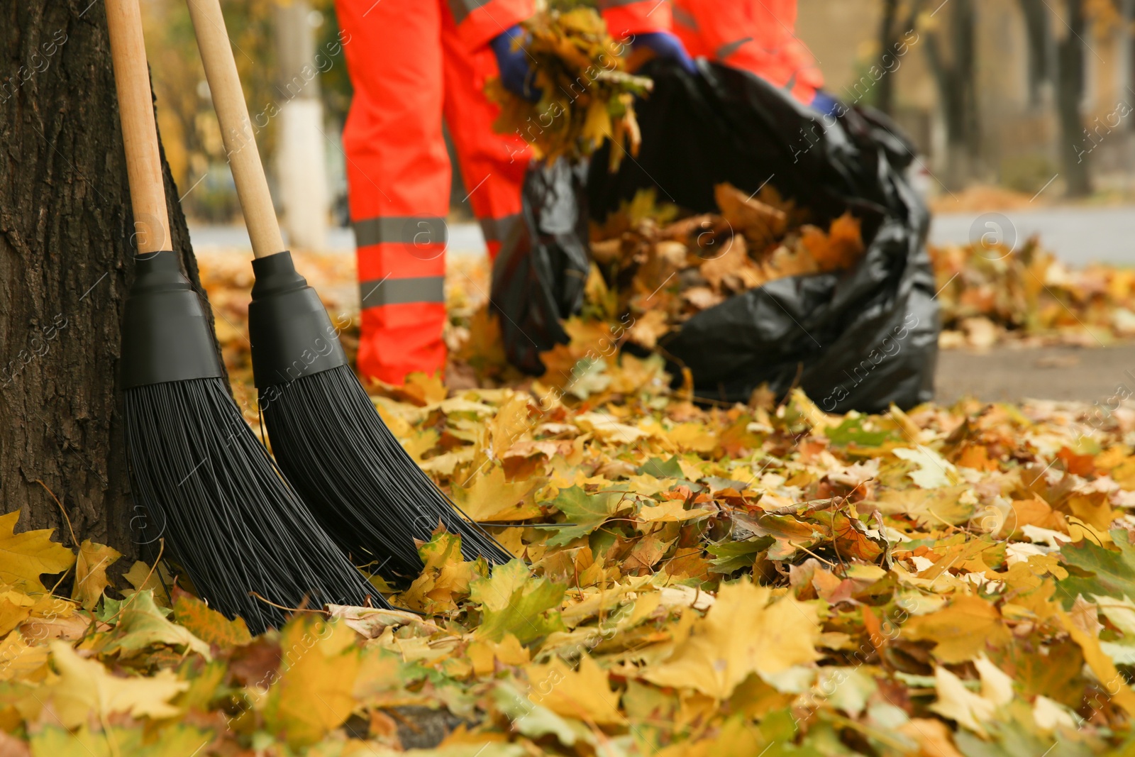 Photo of Brooms near tree and blurred view of worker cleaning street from fallen leaves on background