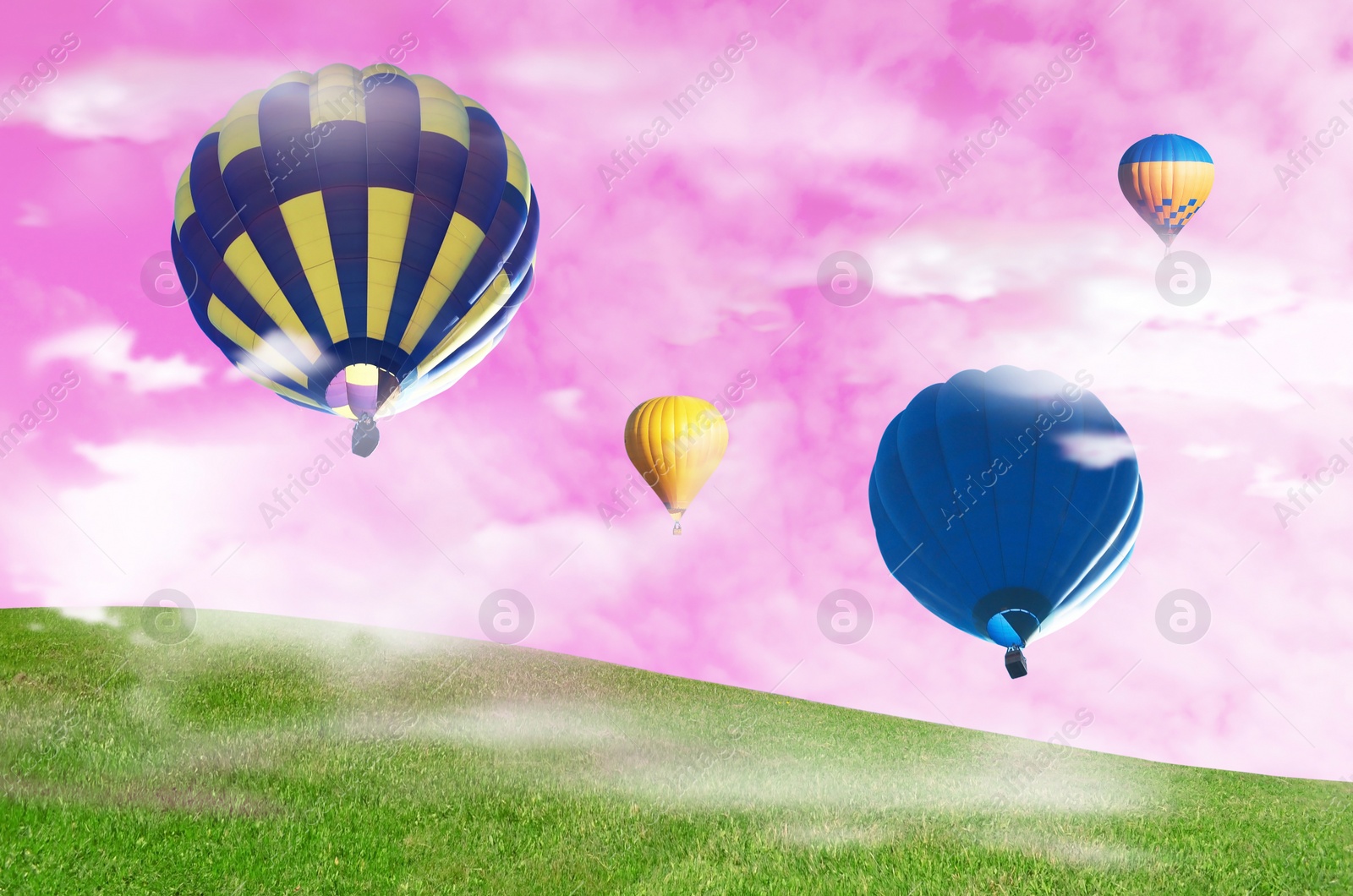 Image of Dream world. Hot air balloons in pink sky over green meadow