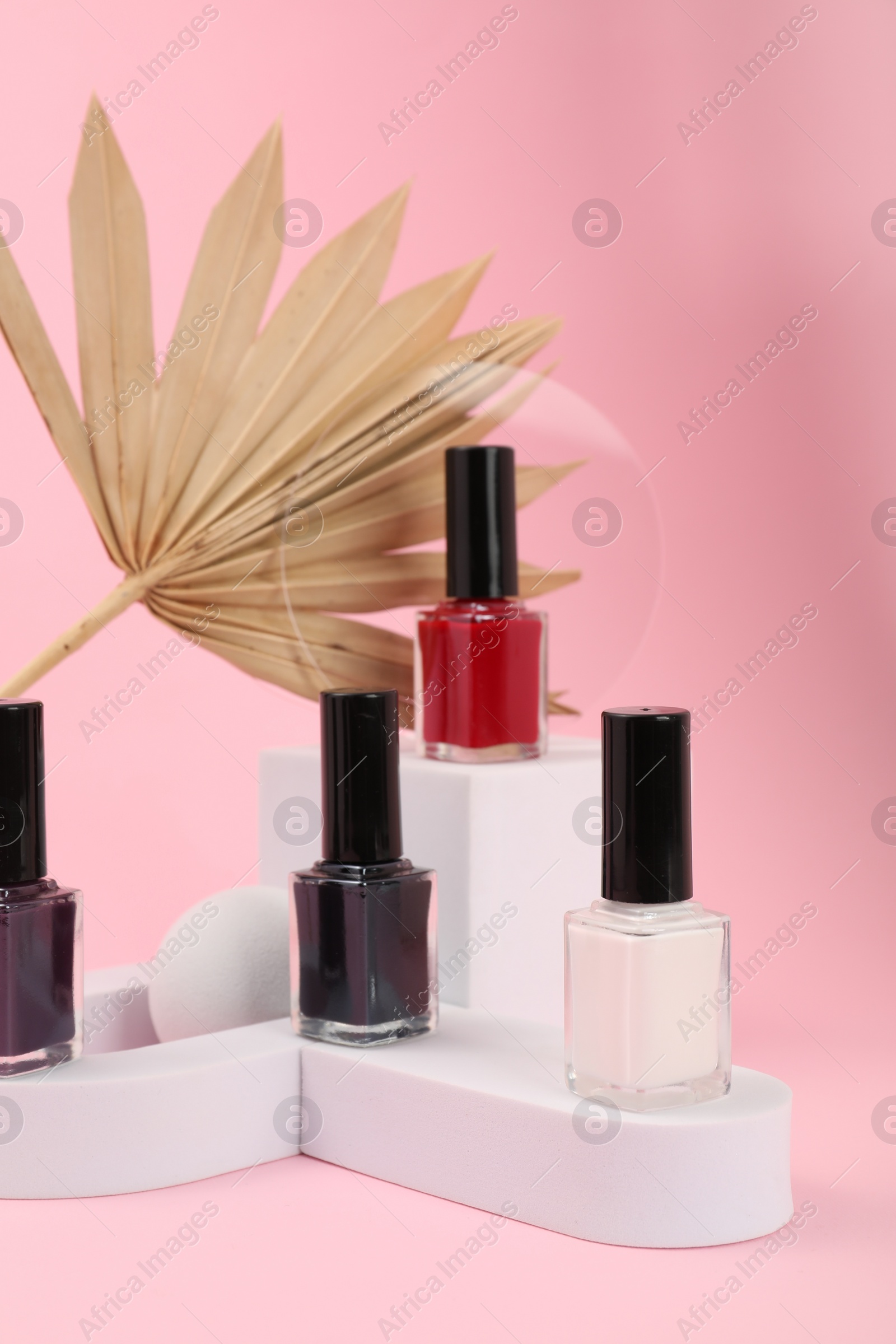 Photo of Stylish presentation of nail polishes on pink background