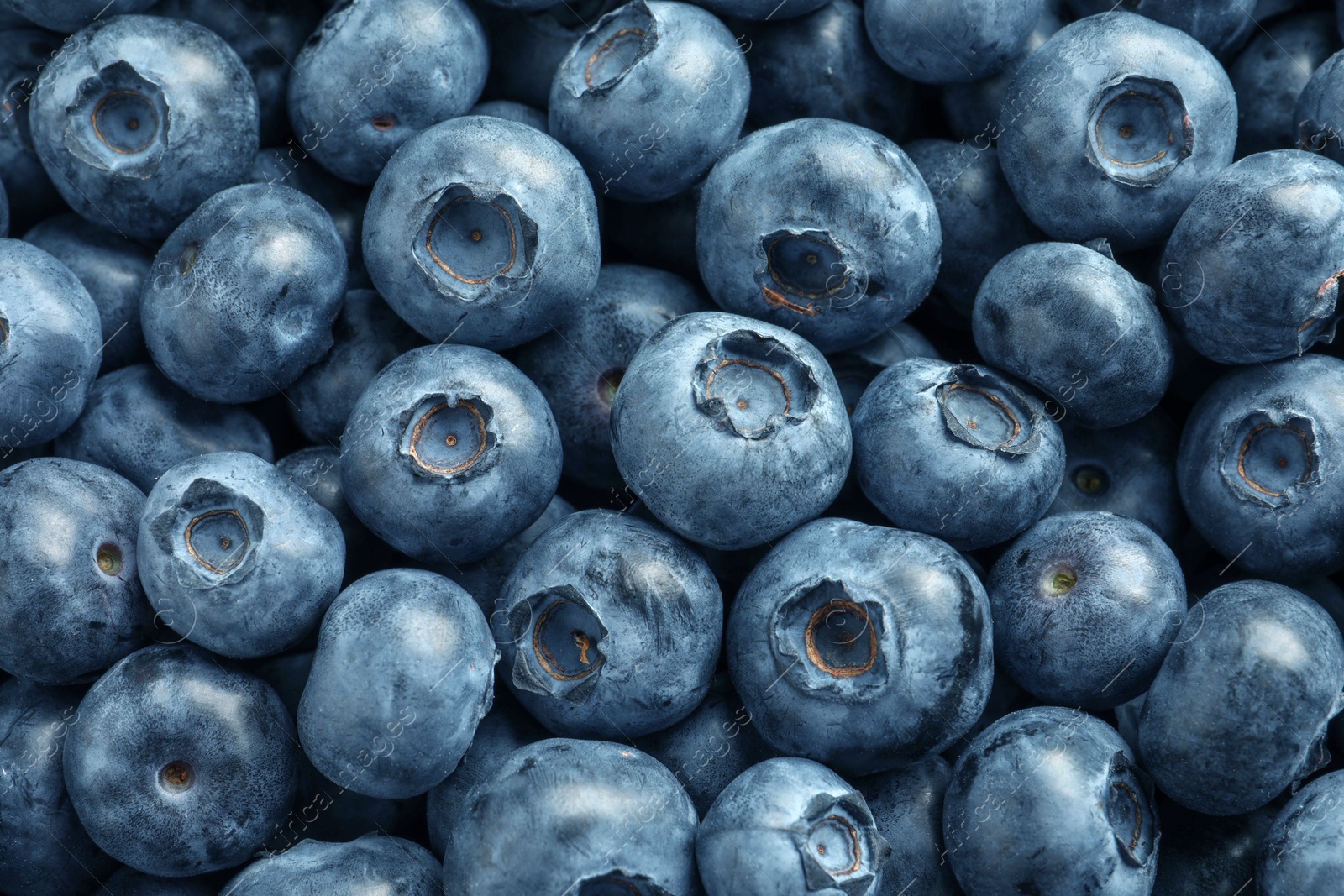 Photo of Tasty fresh blueberries as background, top view