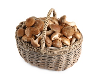 Photo of Fresh wild mushrooms in wicker basket on white background. Edible fungi