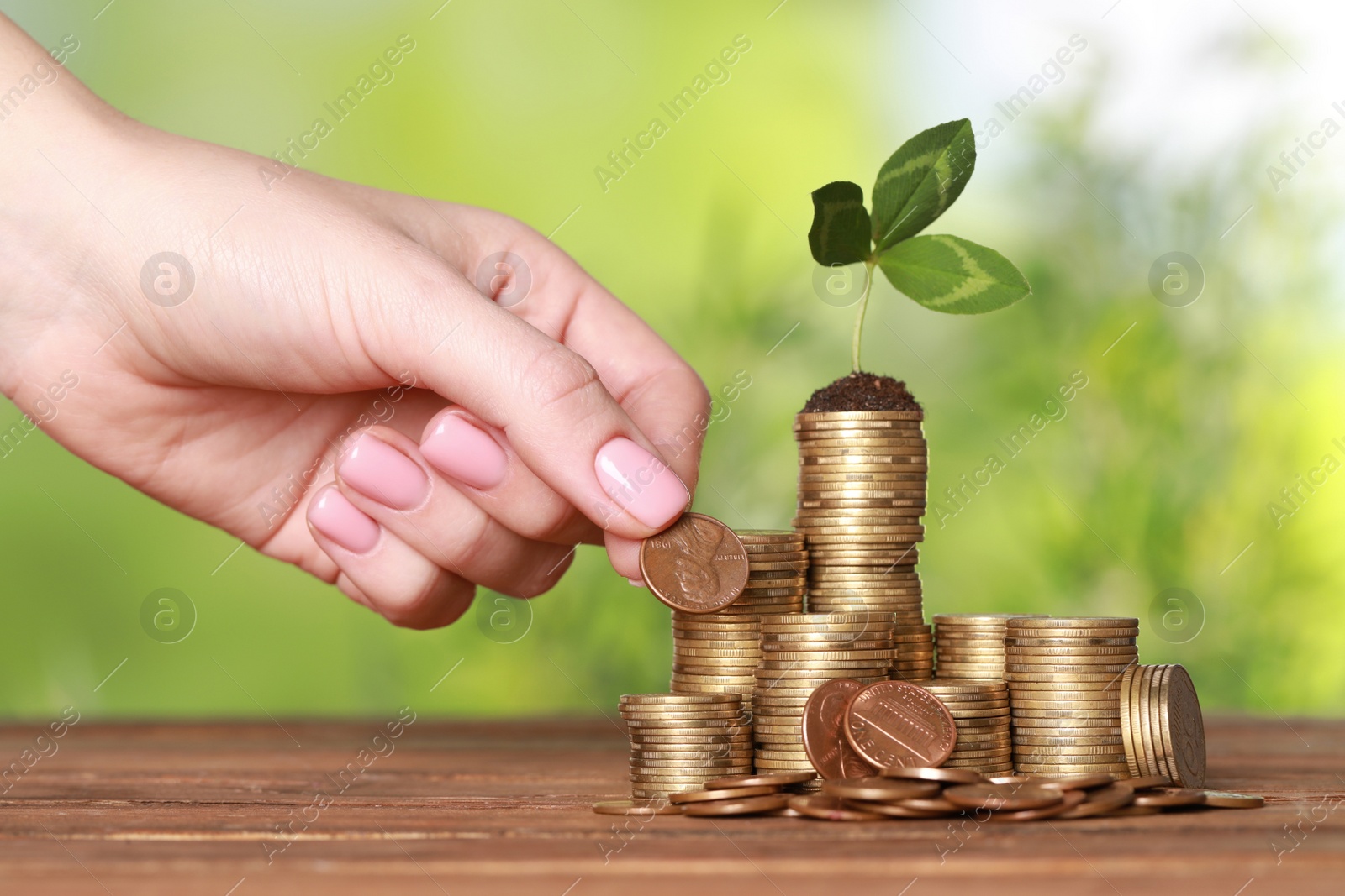 Photo of Woman putting coin onto stack with green sprout at wooden table against blurred background, closeup. Investment concept