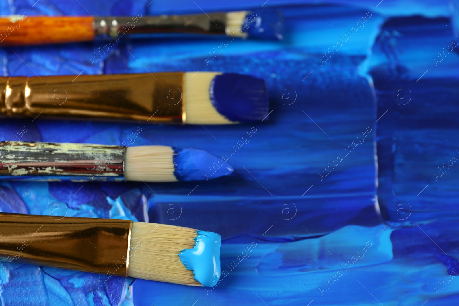 Photo of Set of different brushes on abstract colorful paint, closeup