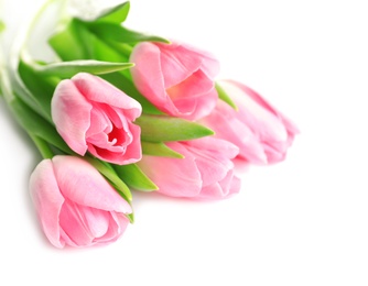 Beautiful spring tulips on white background. International Women's Day