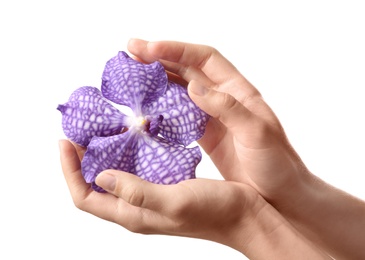 Photo of Woman holding flower on white background, closeup