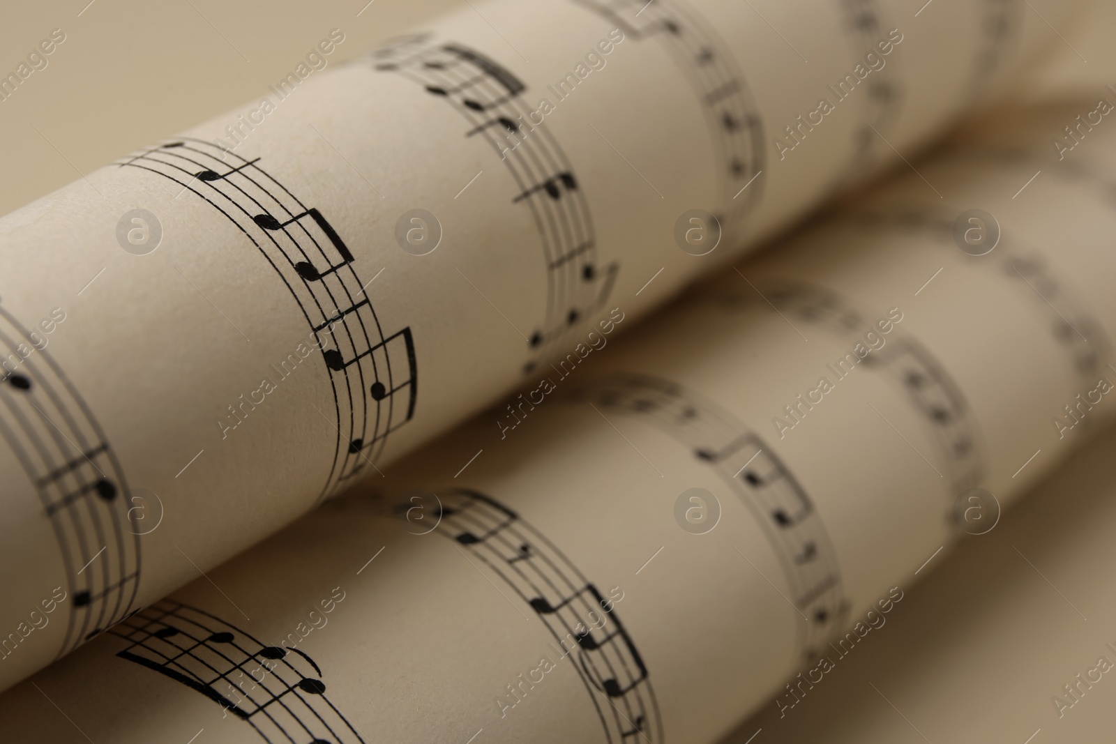 Photo of Rolled sheets with music notes on white background, closeup