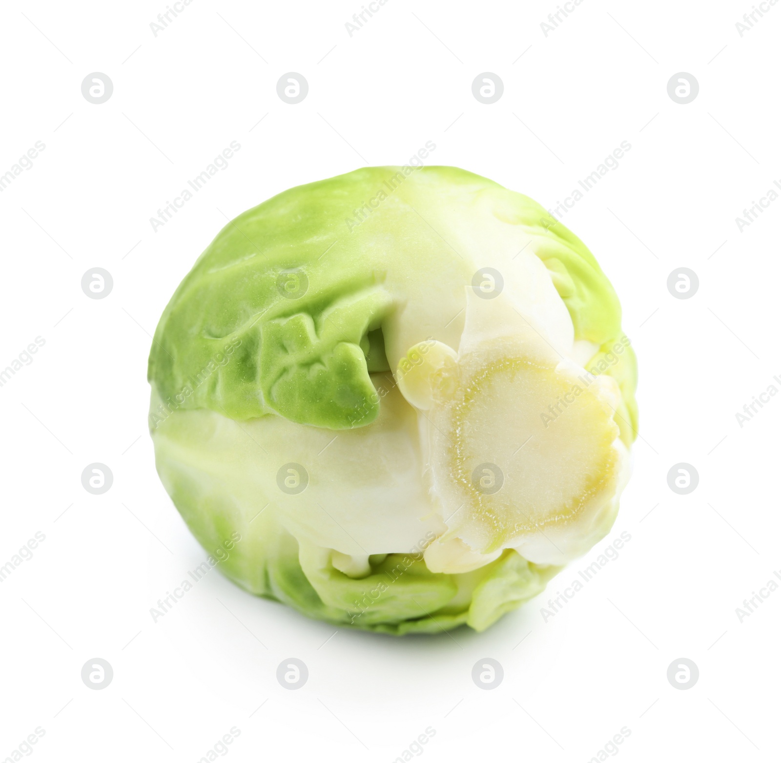 Photo of Fresh tasty Brussels sprout on white background