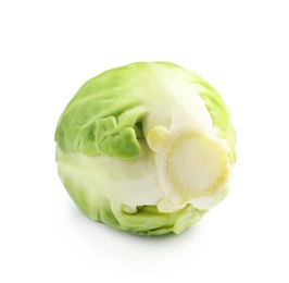 Photo of Fresh tasty Brussels sprout on white background