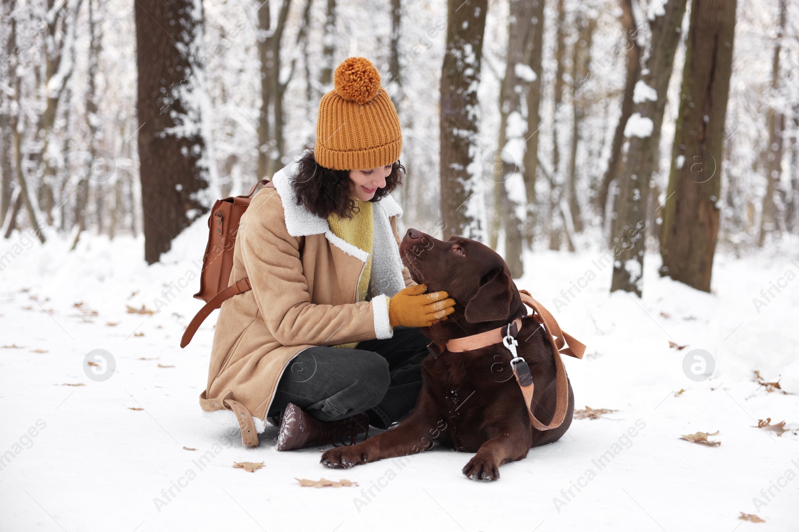 Photo of Woman with adorable Labrador Retriever dog in snowy park