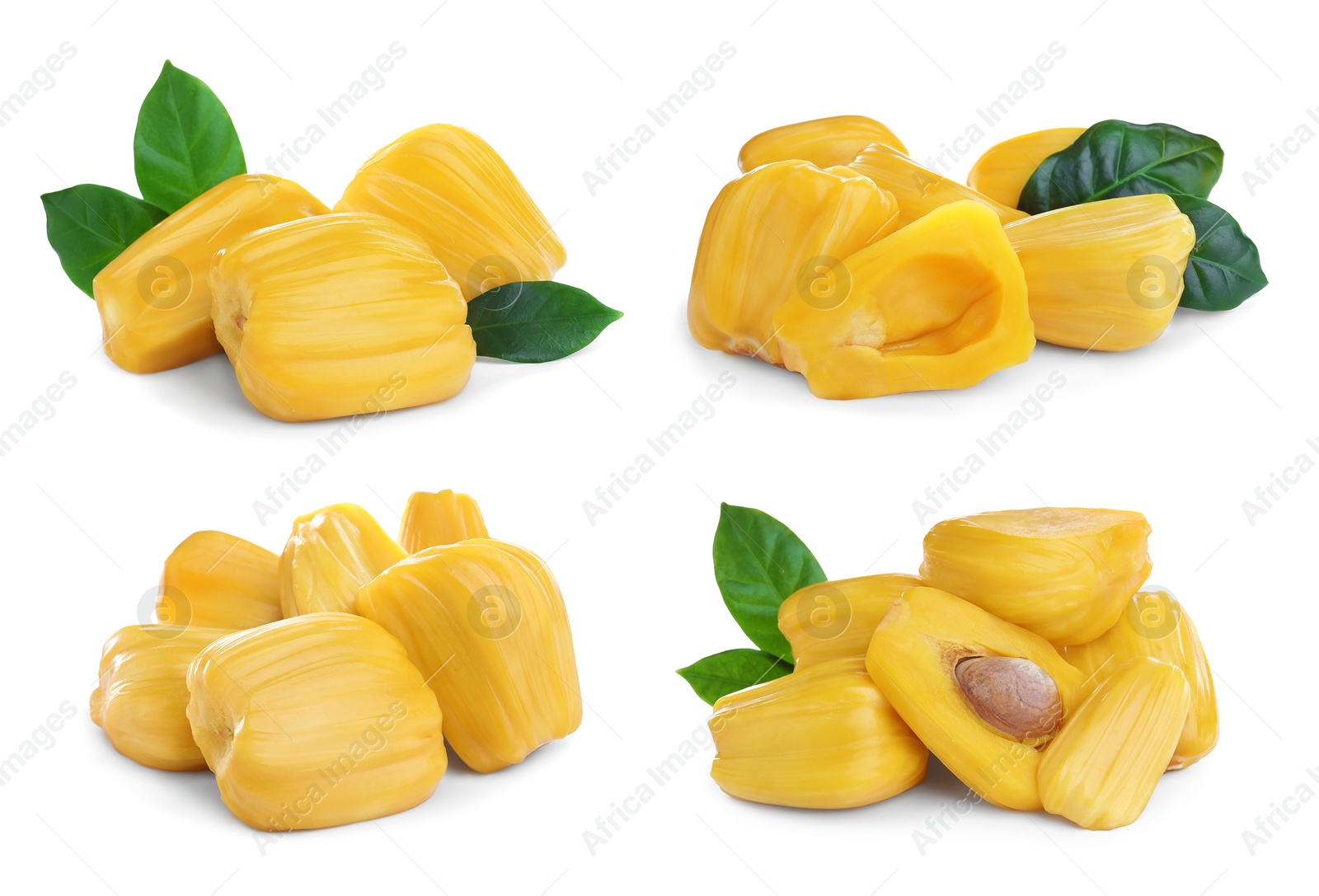 Image of Set with delicious exotic jackfruit bulbs on white background