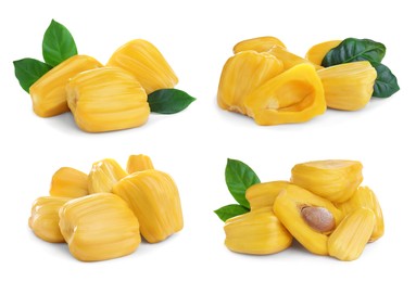 Set with delicious exotic jackfruit bulbs on white background