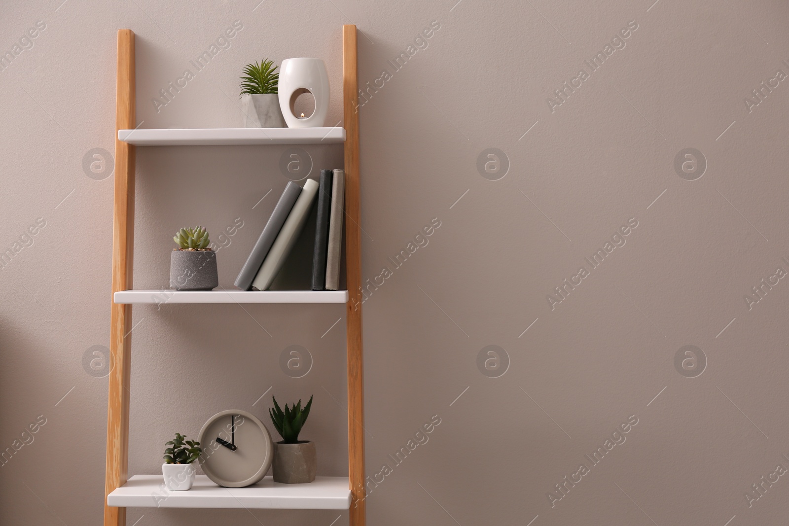 Photo of Plants and accessories on decorative ladder near grey wall indoors, space for text