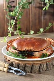 Photo of Delicious crab with greens and tongs on wooden table