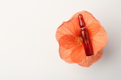 Skincare ampoules and hibiscus flower on white background, top view. Space for text