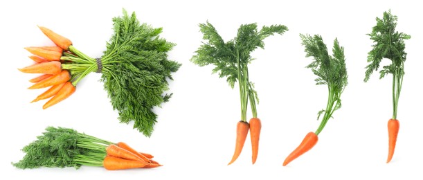 Image of Collage with fresh ripe carrots on white background