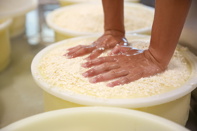 Photo of Worker pressing curd into mould at cheese factory, closeup