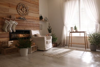 Potted fir trees and Christmas decorations in room with fireplace. Stylish interior design