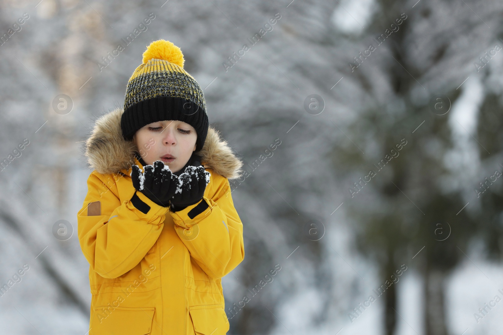 Photo of Cute little boy blowing snow in park on winter day, space for text