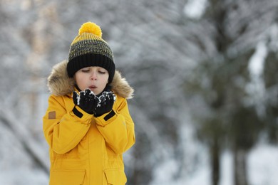 Cute little boy blowing snow in park on winter day, space for text